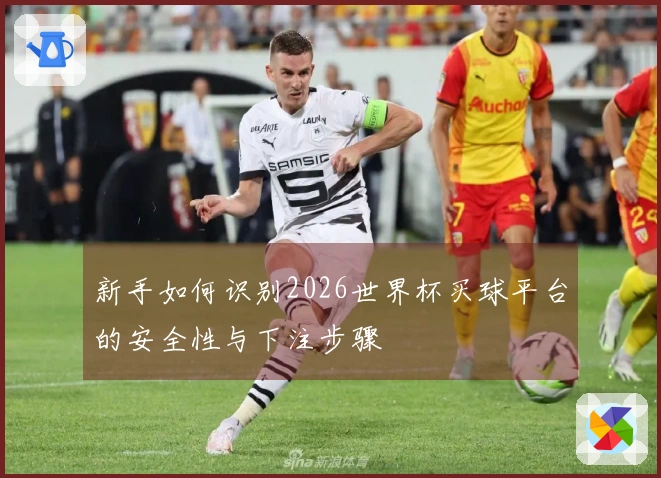 新手如何识别2026世界杯买球平台的安全性与下注步骤