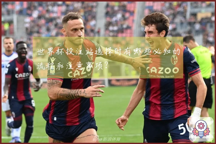 世界杯投注站选择时有哪些必知的流程和注意事项?